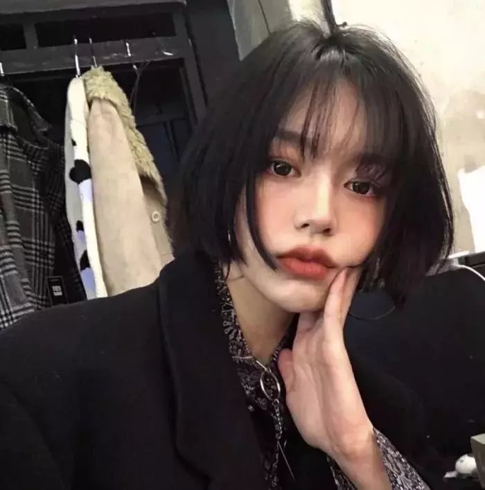 离狼之歌